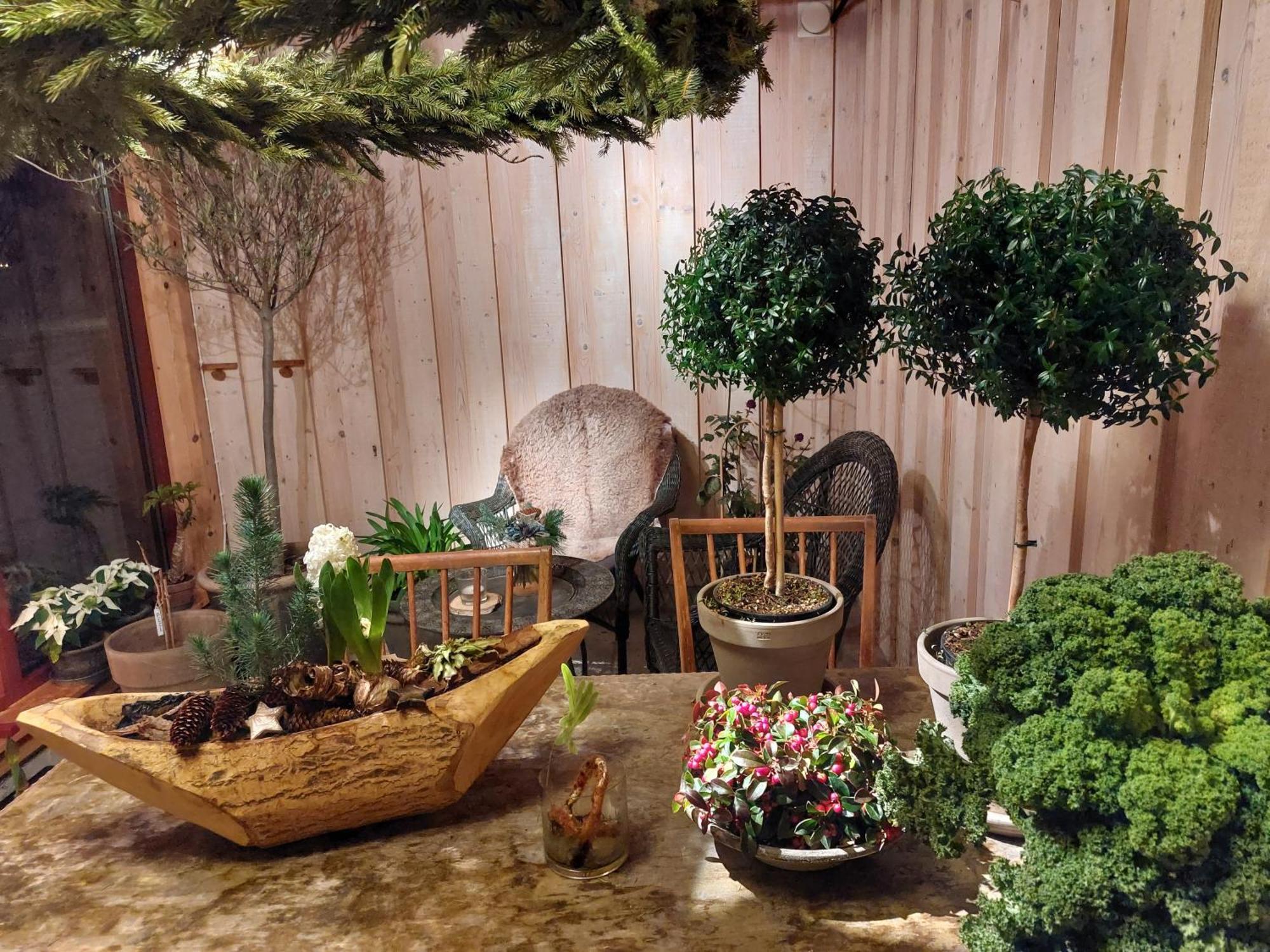 Flora Dekor Gaestgard Konuk evi Alingsås Dış mekan fotoğraf